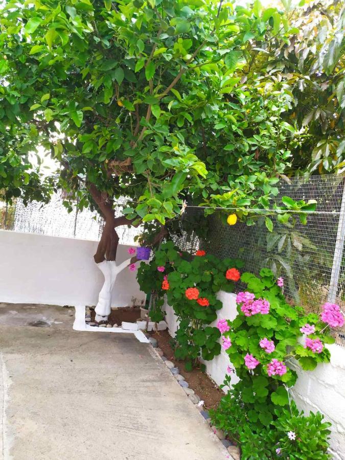 Meimetis Green House Neápolis المظهر الخارجي الصورة